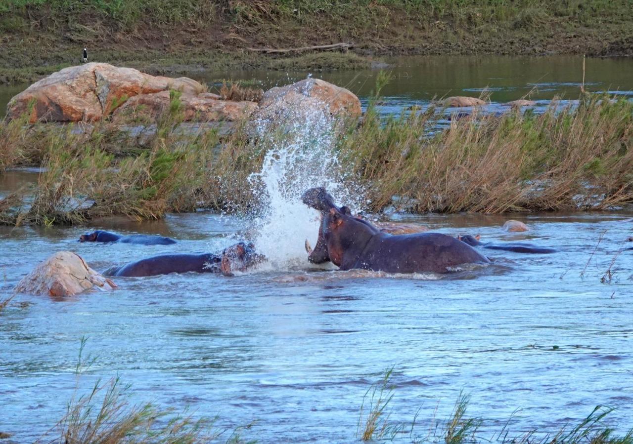 Kruger River Holiday Home Marloth Park Bagian luar foto
