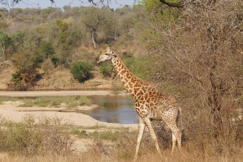 Kruger River Holiday Home Marloth Park Bagian luar foto