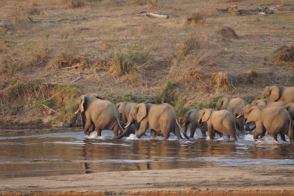 Kruger River Holiday Home Marloth Park Bagian luar foto