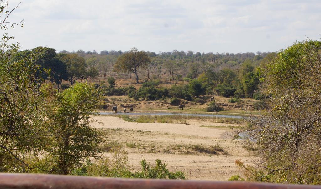 Kruger River Holiday Home Marloth Park Bagian luar foto