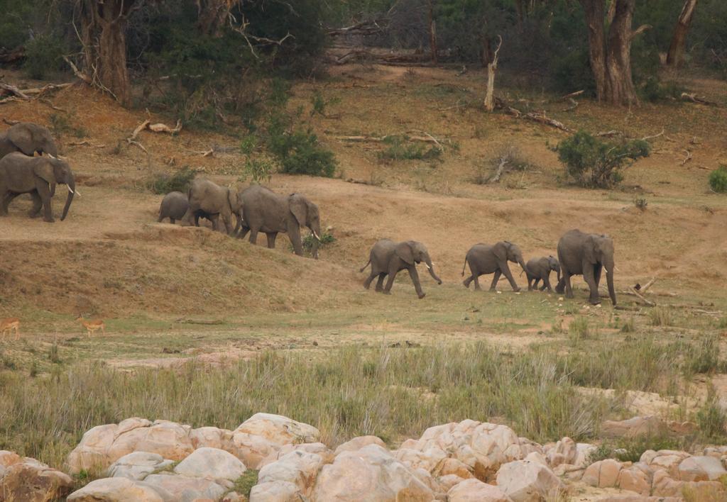 Kruger River Holiday Home Marloth Park Bagian luar foto